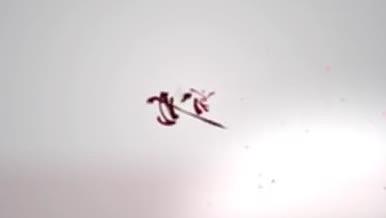 中国风花瓣飘舞中秋节视频的预览图